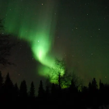 Uuttu Villa Kuusamo
