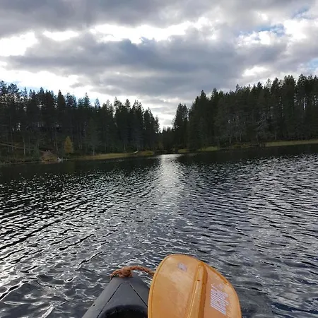 Uuttu *