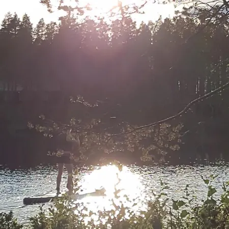Uuttu *