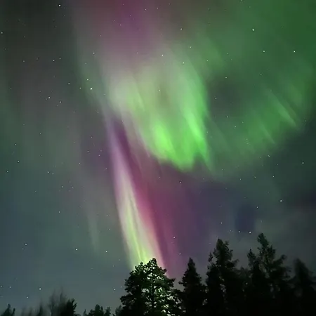 Villa Uuttu *