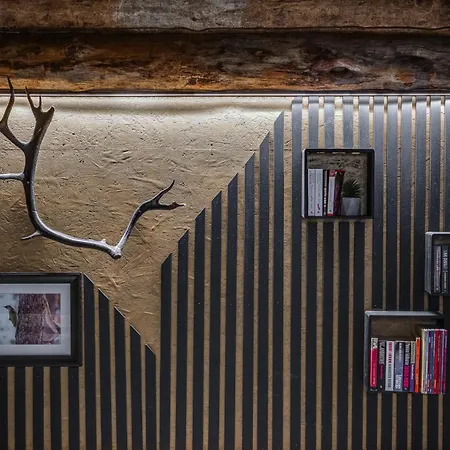 Uuttu