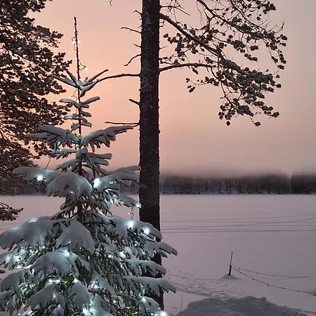 Uuttu Villa *