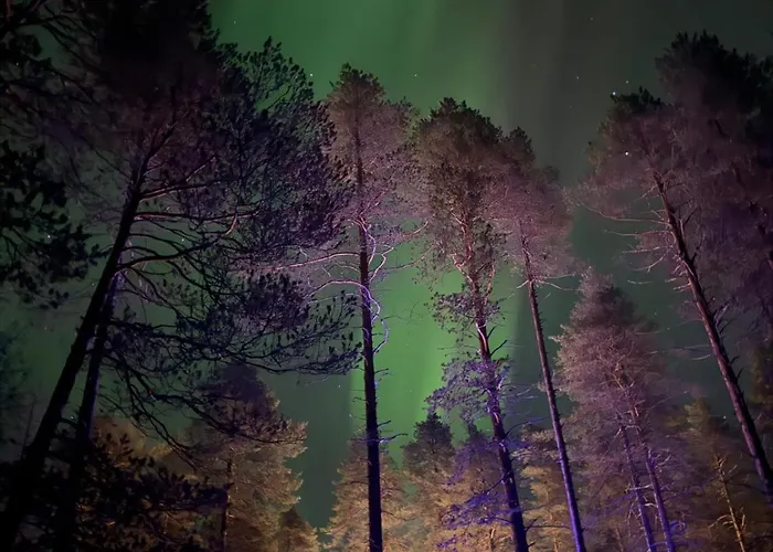 Arctic Ruka ヴィラ